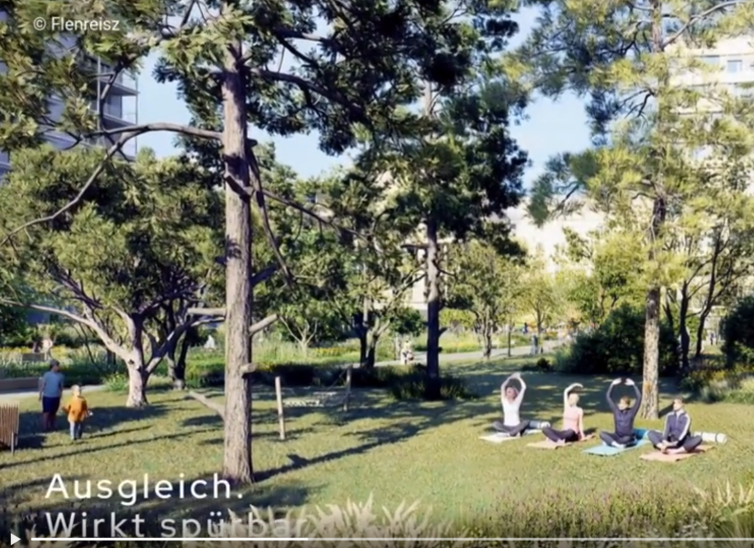 TragWerk - wirkt. Frischer Fokus - wirkt leicht.