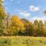 Blick auf den herbstlichen Park
